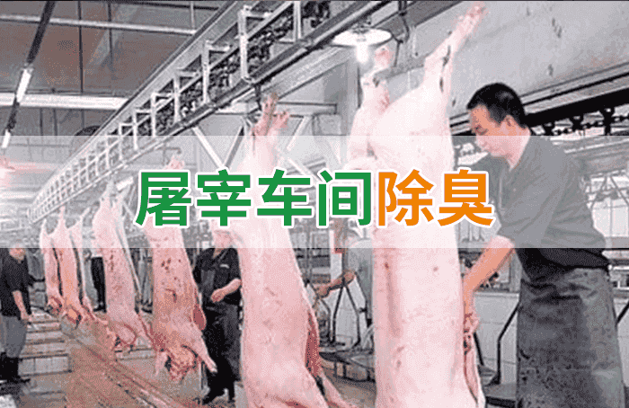 屠宰場臭氣影響周邊環(huán)境？解決辦法在這里-1