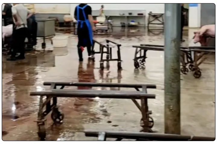 屠宰工廠惡臭影響周邊，使用除臭劑有什么注意要點？.jpg