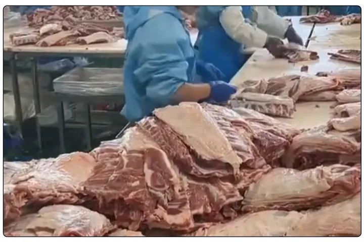 屠宰工廠惡臭影響周邊，使用除臭劑有什么注意要點？.jpg