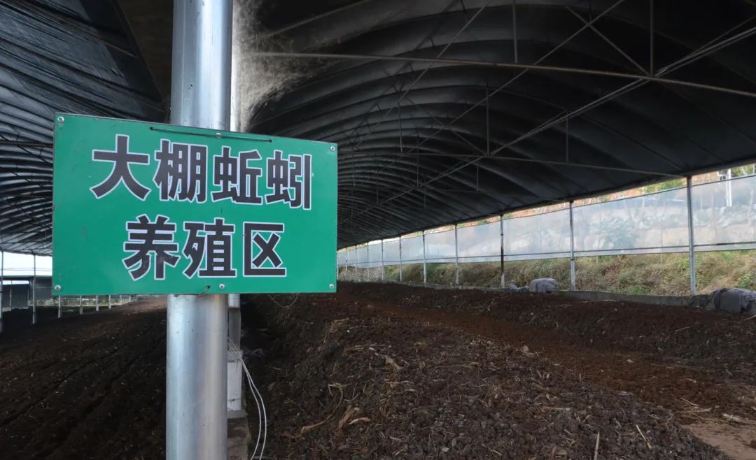 潔匠凈化·的凈工業(yè)除臭劑_的凈工業(yè)除臭劑高效治理蚯蚓養(yǎng)殖惡臭異味大、牛糞味濃