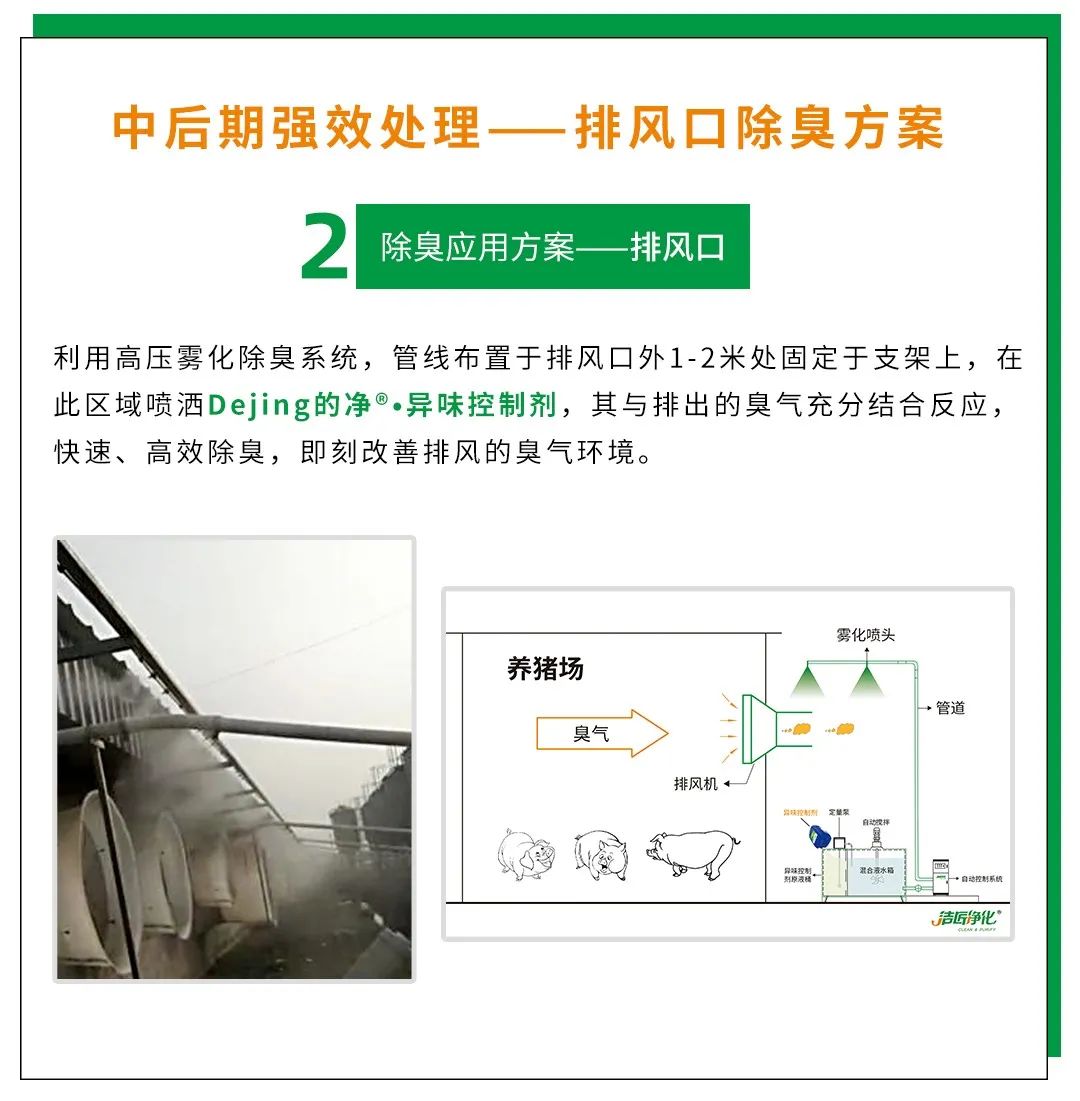 Dejing的凈養(yǎng)殖場除臭劑如何迅速清理養(yǎng)殖場臭味？.jpg