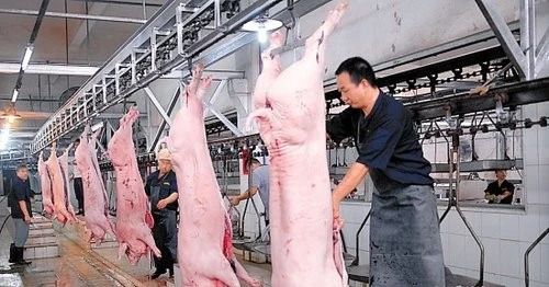 屠宰場臭氣影響周邊環(huán)境？解決辦法在這里.jpg